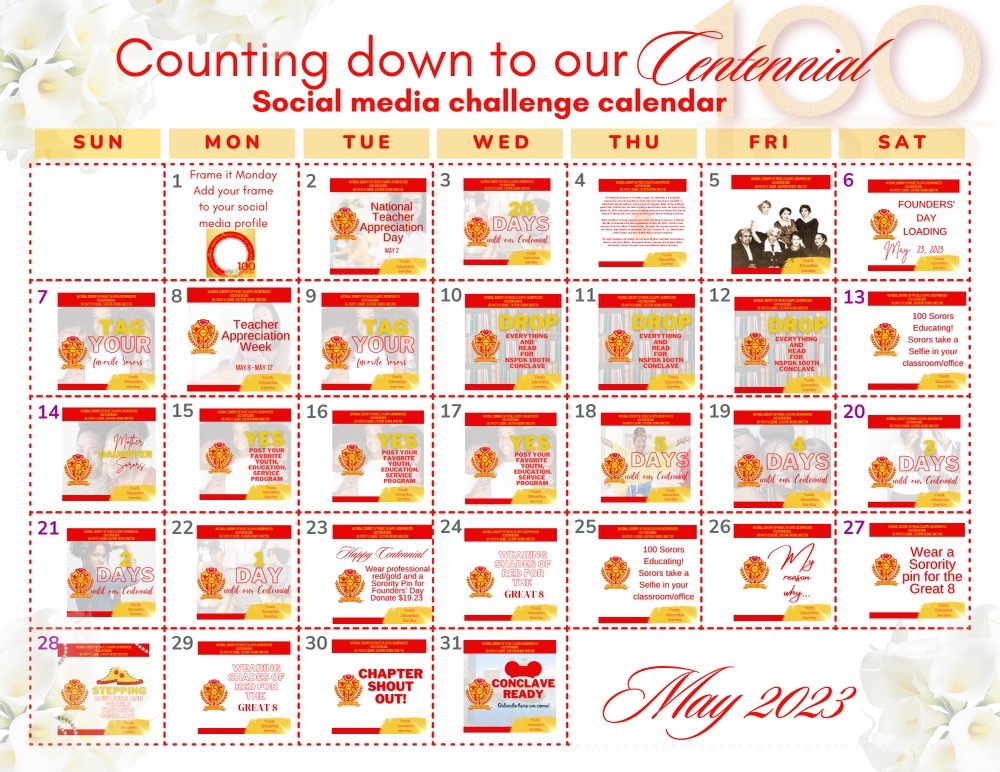 NSPDK Centennial Flyer